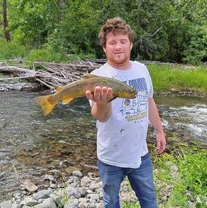 Meet your Posher, Jackson